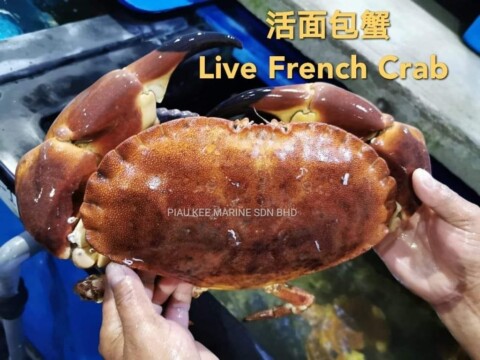 フランスの蟹 French Crab を食べてみた Dabo S Life In Kl Malaysia