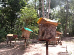 eHoney-1